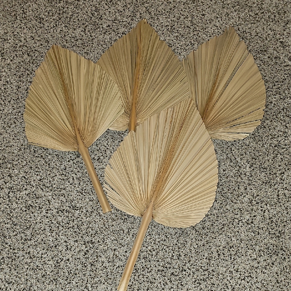 Natural Dried Palm Leaves Fan Set